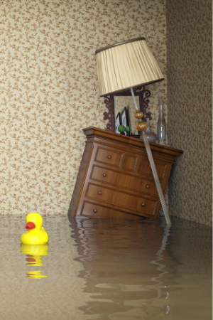 flooding-hardship-loans