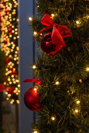 christmas-tree